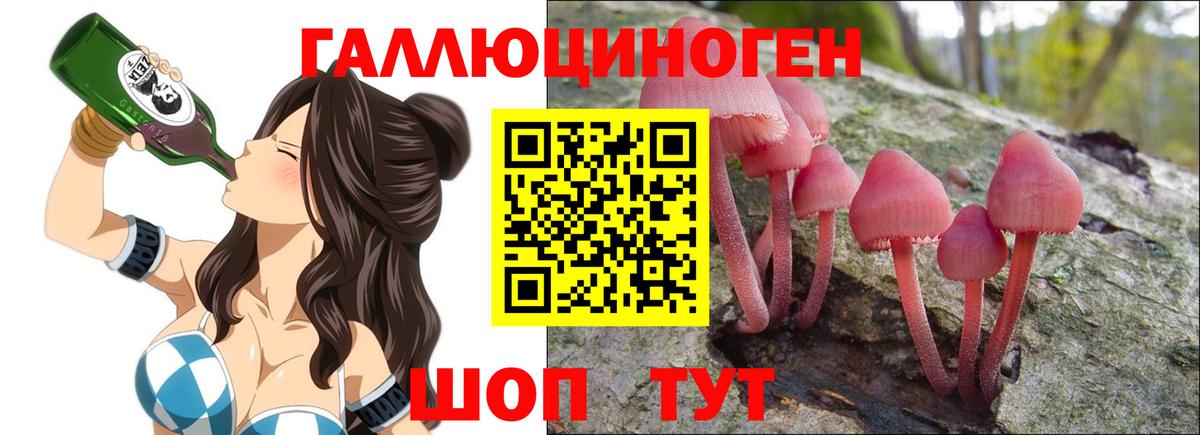 Псилоцибиновые грибы мухоморы  Псилоцибиновые грибы мицелий  Каменка  Вход с VPN 
