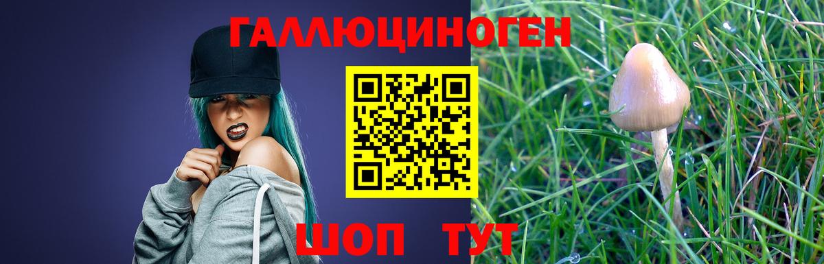 Галлюциногенные грибы MAGIC MUSHROOMS Каменка